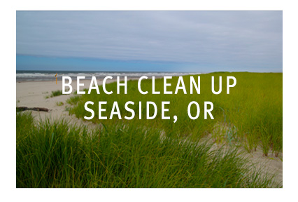 image of seaside, oregon for beach clean up