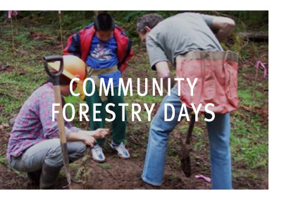 image of community forestry day volunteers at hopkins demonstration forest