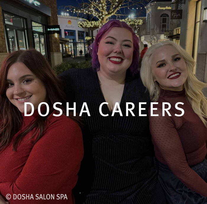 Career stylists at Dosha Salon Spa