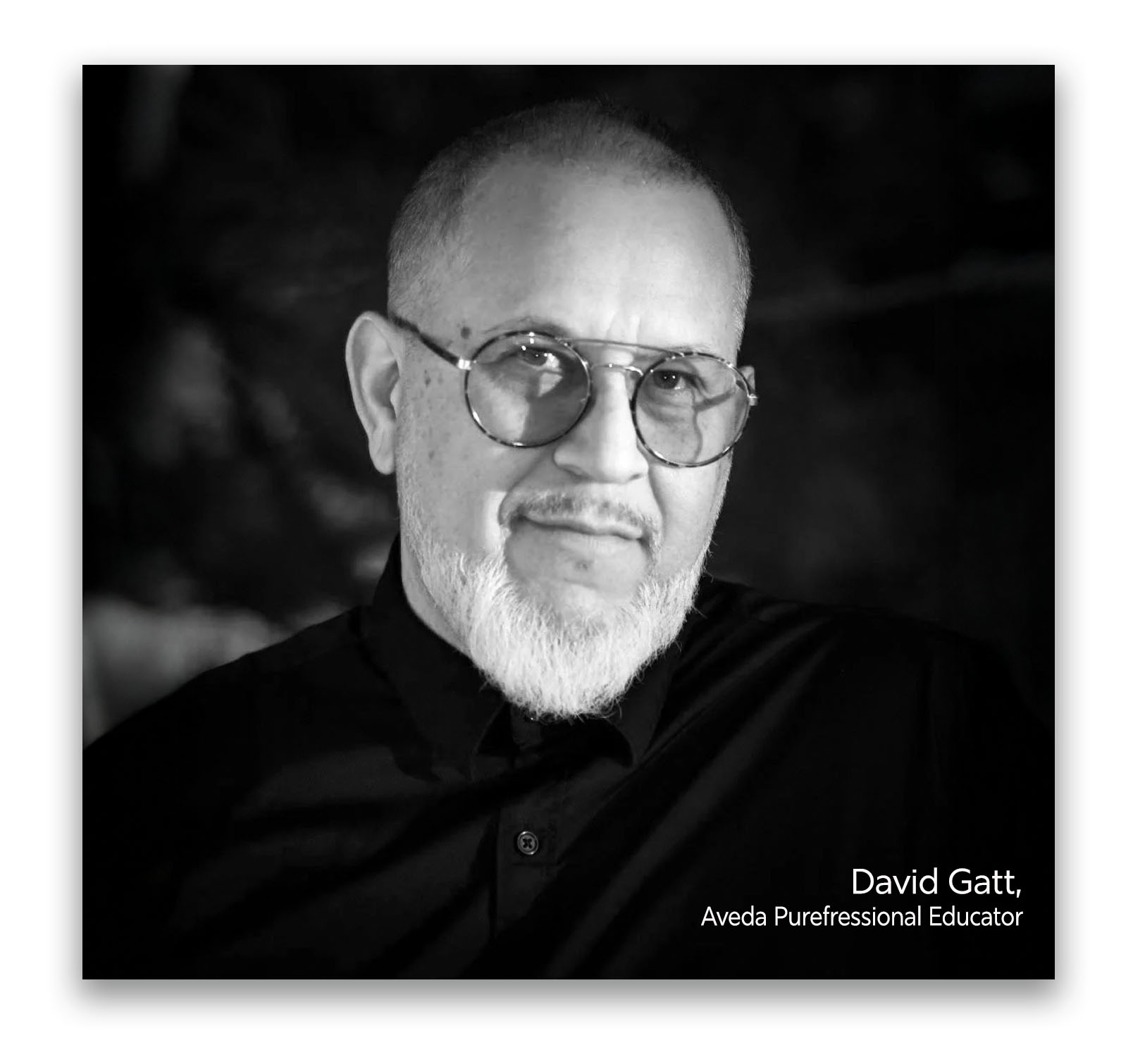 David Gatt Aveda Educator
