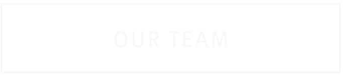 Our Team web button that links to our team page