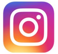 IG logo